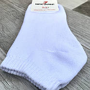 Шкарпетки жіночі махрові бавовна короткі ВженеBOSSі, розмір 36-40, асорті, 012800, фото 4