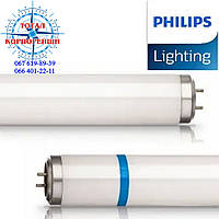 Actinic BL TL-DK 36W/10 1SL/25 PHILIPS лампа для ловушек насекомых (Код 928019701003)