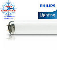 TL 120W/01 PHILIPS лампа для фототерапии (Код 928035200101)