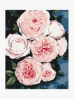 Картина по номерам "Бутоны пышных роз" цвет разноцветный ЦБ-00234084