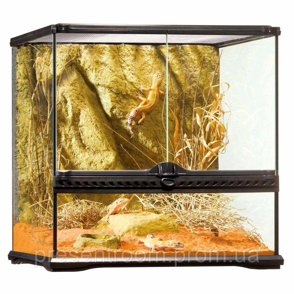 Террариум Exo Terra стеклянный Natural Terrarium 45 x 45 x 45 см c - фото 1 - id-p1886280176