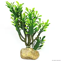 Искусственное растение кактус Hobby Euphorbia M 15 x 7 x 17 см для аквариума