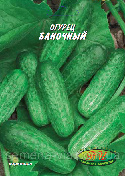 Огірок Банковий F1 (5 г) (в упаковці 10 шт.)