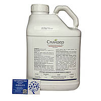 Протруйник насіння Спайдер / потрійний протруйник / аналог Вінцит Форте