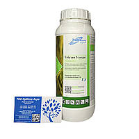 Протруювач Тебузан Ультра