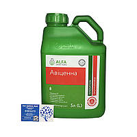 Протруювач Авіценна