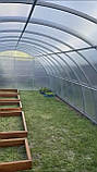 Каркас теплиці 4*10*2,1м від виробника (під полікарбонат, плівку), фото 3