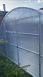Каркас теплиці 4*10*2,1м від виробника (під полікарбонат, плівку), фото 6