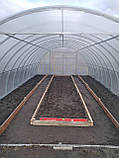 Каркас теплиці 4*10*2,1м від виробника (під полікарбонат, плівку), фото 2