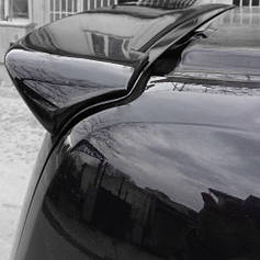 Спойлер Anatomic  під фарбування  для Ford Custom 2013-2022 рр