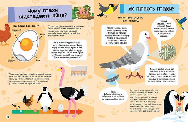 Книга "Велика енциклопедія для чомусика" | Ранок, фото 4