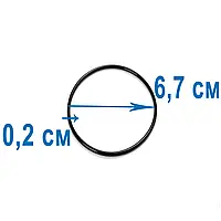 Уплотнительное кольцо Intex 11515 для титанового электрода для хлоргенератора 12 г/ч, озонатора и песочных.