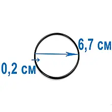 Ущільнювальне кільце для титанового електрода Intex 11515 топ