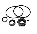 Ремкомплект для насосів-дозаторів серії XY (SK4151370100)