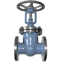 Засувки сталеві 31с45нж, фото 1