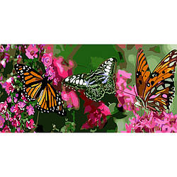 Картина за номерами Strateg ПРЕМІУМ Метелики Strateg розміром 50х25 см (WW059) PL-00040320