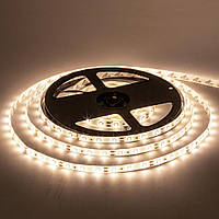 Світлодіодна стрічка тепла біла 12V smd2835 60 LED/м IP65