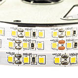 Світлодіодна стрічка тепла біла 12 V smd2835 120 LED/м IP65, фото 3