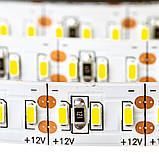 Світлодіодна стрічка холодна біла 12 V AVT smd2835 204LED/м IP20, фото 3