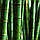 Ароматична олія для свічок і мила Himalayan Bamboo (CandleScience Himalayan Bamboo), фото 3