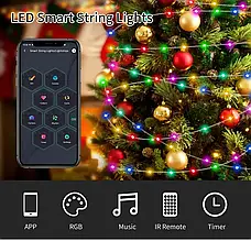 Світлодіодна вулична LED гірлянда Smart Bluetooth APP USB RGB Color 10M / 100LEDs, фото 4