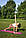 Килимок для йоги та фітнесу PowerPlay 4010 PVC Yoga Mat Рожевий (173x61x0.6), фото 8
