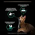 Вологий корм Purina Pro Plan Sterilised для стерилізованих котів паштет, з тунцем та лососем, 85 г, фото 7