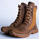 Берці демісезонні evolution койот, фото 4