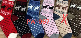 Шкарпетки жіночі теплі IOOSOO PW-067