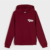 Утеплена толстовка худі на флісі Sinsay на дівчинку р.134, 8-9 років, фото 4