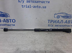Амортизатор кришки багажника Renault Megane 2008-2016 844300009R (Арт.26815)