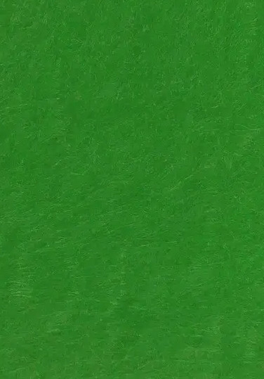 Фетр жорсткий зелений світлий 21х30 см поліестер Santi, 740418, фото 1