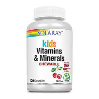 Комплекс витаминов и минералов для детей Solaray Childrens Vitamin & Minerals (120 chewables, черная вишня)