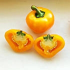 Перець солодкий Колобок жовтий Флора Маркет 0,3 г, фото 5