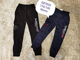 Утеплені штани для дівчаток оптом, Grace, розміри 116-146. арт. G87020