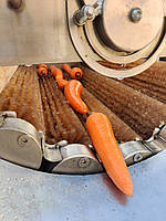 Щеточная мойка для моркови, картофеля, свеклы