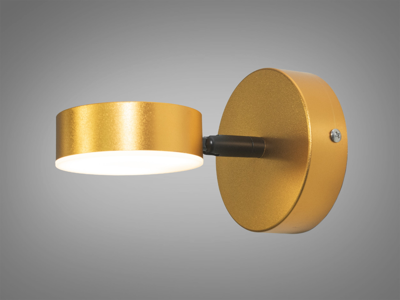 Світлодіодна підсвітка бра 3W Diasha 051/1, фото 1