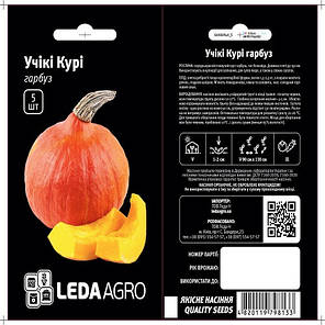 Насіння гарбуза Учікі курі, 5 насінин, LEDAAGRO, фото 3