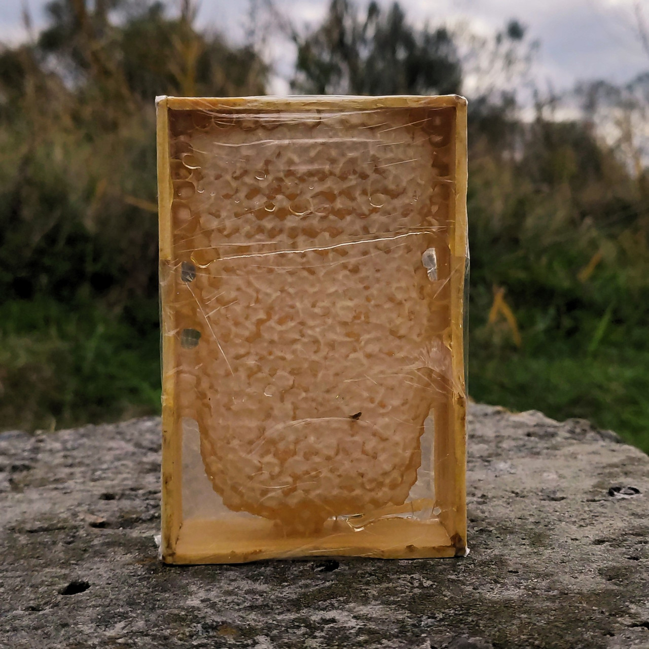 Мёд в сотах / сотовый мед 2023 (ID#1666949717), цена: 143 ₴, купить на ...