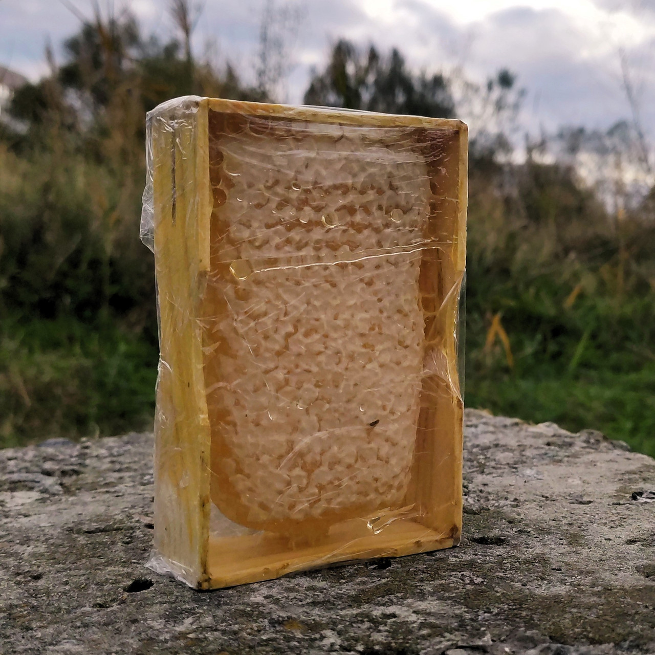 Мёд в сотах / сотовый мед 2023 (ID#1666949717), цена: 143 ₴, купить на ...