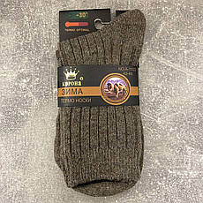 Чоловічі термо шкарпетки з верблюжої вовни Корона,коричневі,42-48