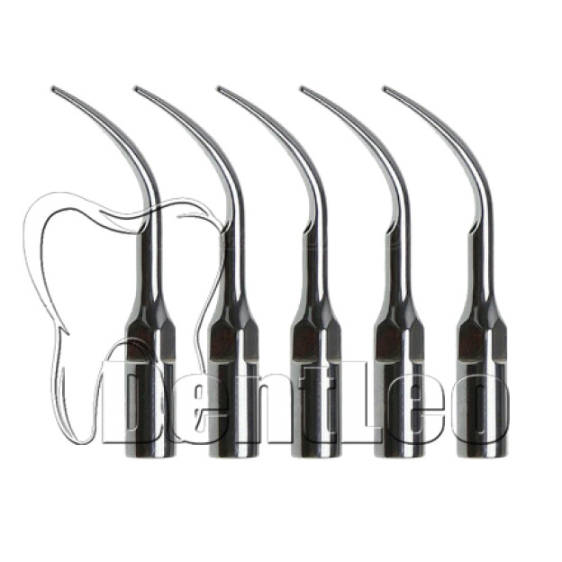 НАБІР НАСАДОК - 5 ШТ. SCALING G4