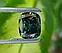 Муассанит 8.10 ct VVS1 13.27 х 12.6 мм, фото 4