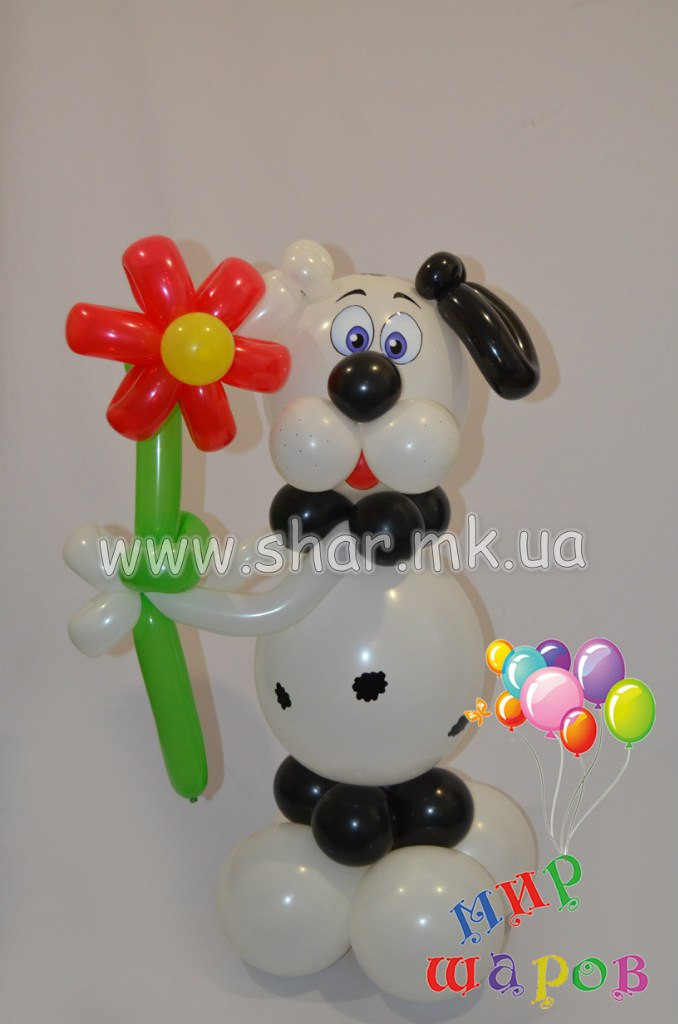 Собака з повітряних куль з ромашкою