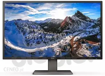 Монітор Philips 439P1/00, 439P1/01