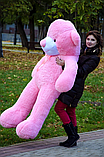 Плюшеві ведмедики великих розмірів для дівчат і дітей, Великий рожевий ведмедик 180 см, фото 3