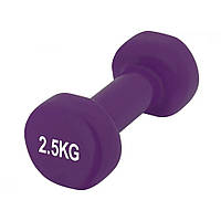 Гантель виниловая Achilles PowerPlay PP_4125_2.5kg, 2.5 кг Фиолетовая 1 шт, World-of-Toys