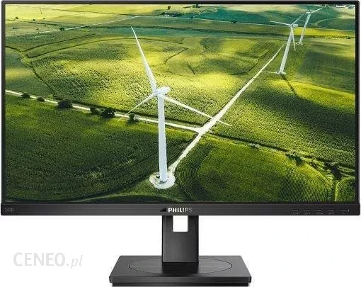 Монитор 23.8" Philips 242B1G (242B1G/00), фото 1
