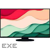 Монитор EIZO FlexScan EV2781 Black (EV2781-BK)