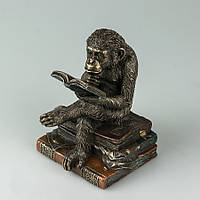 Статуетка Veronese Мавпа на книгах 17 см 76560A4